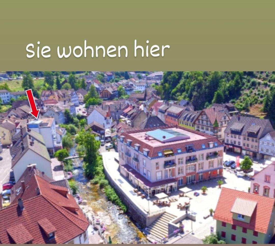 Ferienwohnung Ida Hornberg Ngoại thất bức ảnh